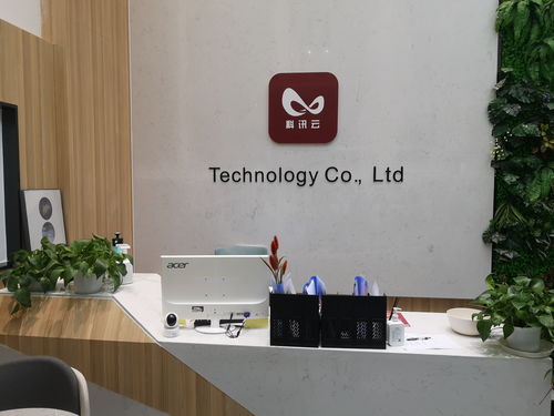 为什么成都软件开发首选这家软件外包服务？