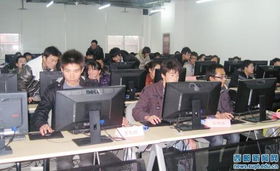 电工院学子西安软件服务外包学院实习纪实 探索软件销售新路径